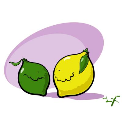 Dizajn051